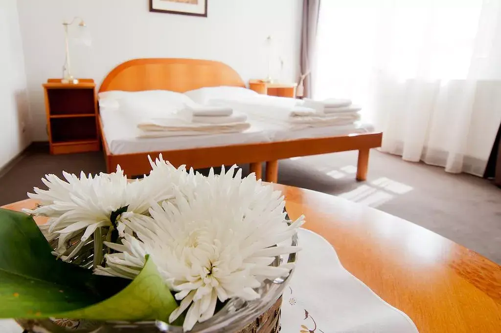 Photo 5 of Boutique Hotel U Solné brány